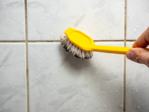 Best Mold Remediation Experts  in Santa Clarita, CA