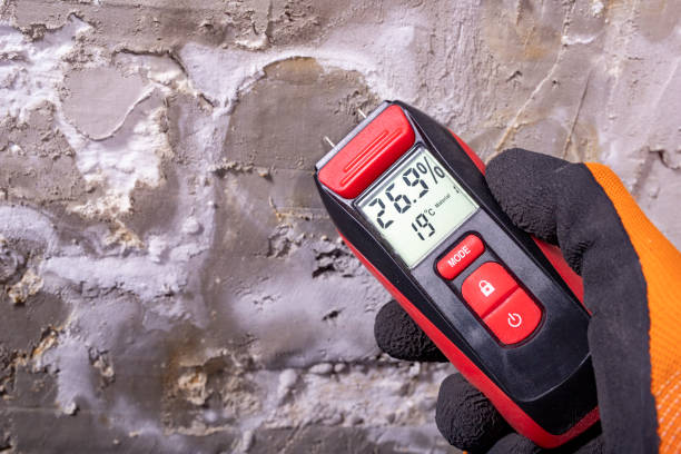 Best Emergency Mold Removal  in Santa Clarita, CA