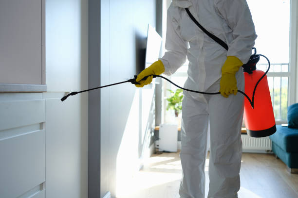 Best Mold Cleaning Services  in Santa Clarita, CA