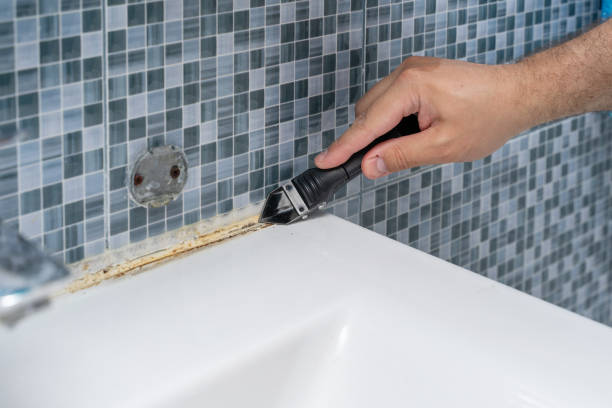 Best Mold Damage Repair  in Santa Clarita, CA