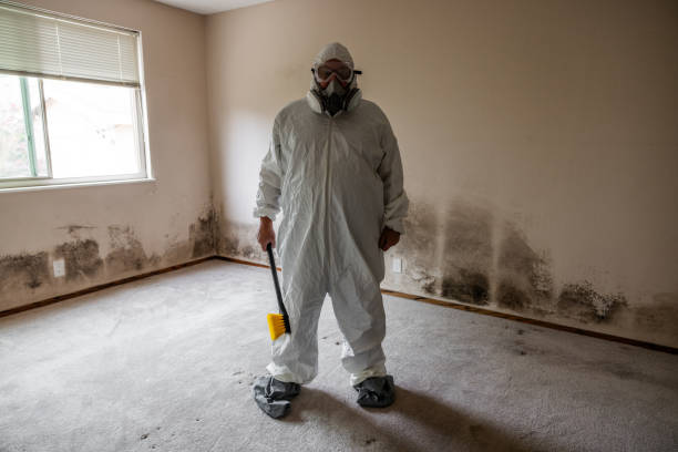 Best Residential Mold Removal  in Santa Clarita, CA