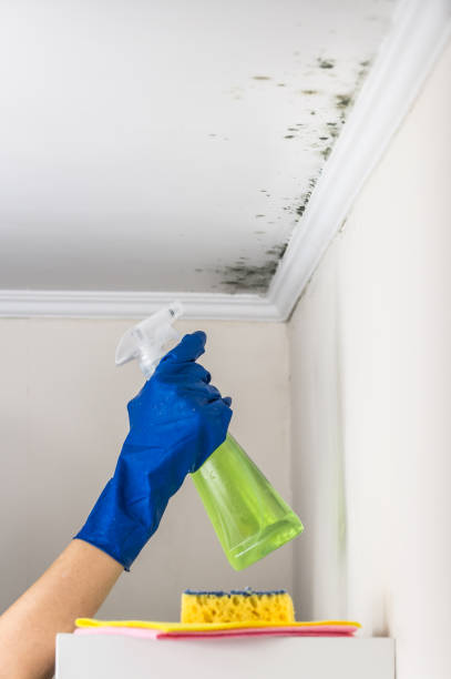 Crawl Space Mold Removal in Santa Clarita, CA