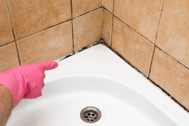 Best Mold Testing  in Santa Clarita, CA